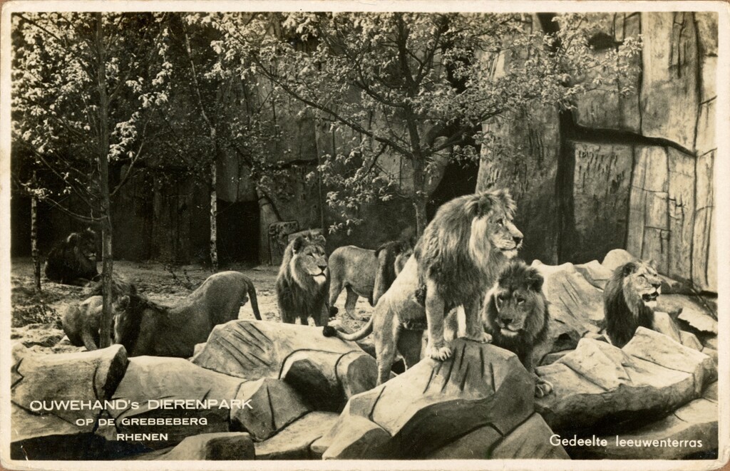 img20260109 13583348