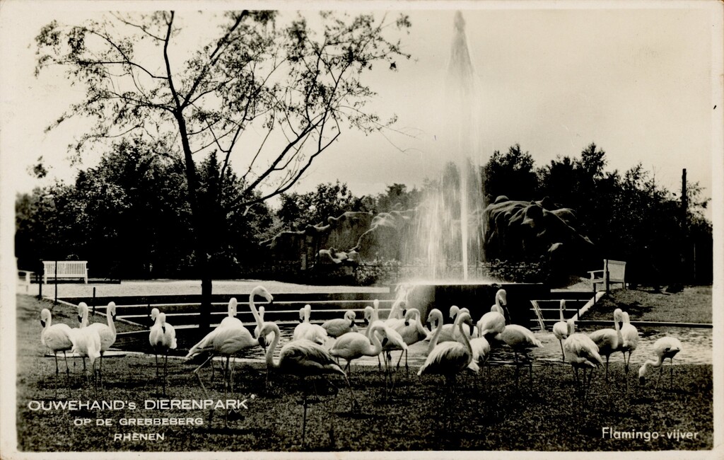 img20251225 10450058